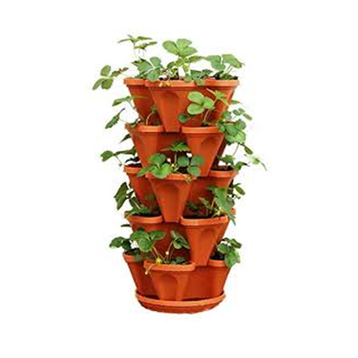 Strawberry Planter Boxes - Perfect Solution for Strawberries